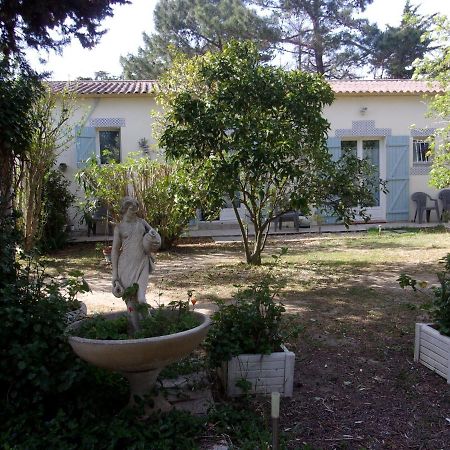 Mas Des Pins Panzió Saint-Cyprien Kültér fotó
