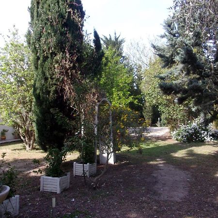 Mas Des Pins Panzió Saint-Cyprien Kültér fotó