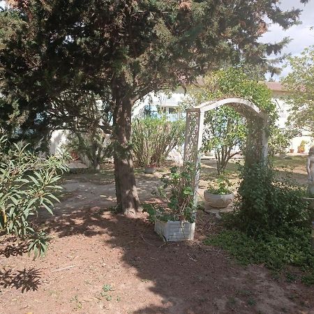 Mas Des Pins Panzió Saint-Cyprien Kültér fotó
