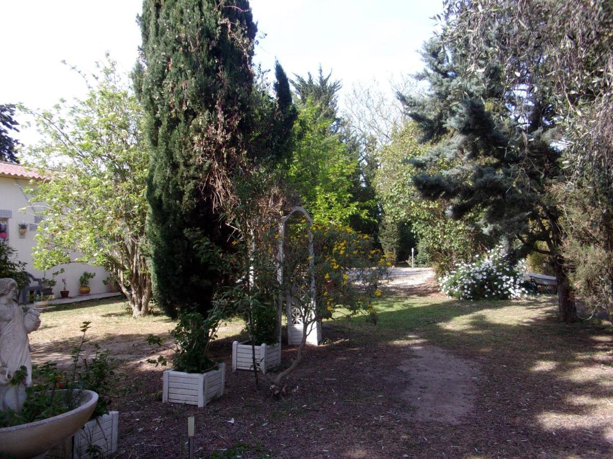 Mas Des Pins Panzió Saint-Cyprien Kültér fotó