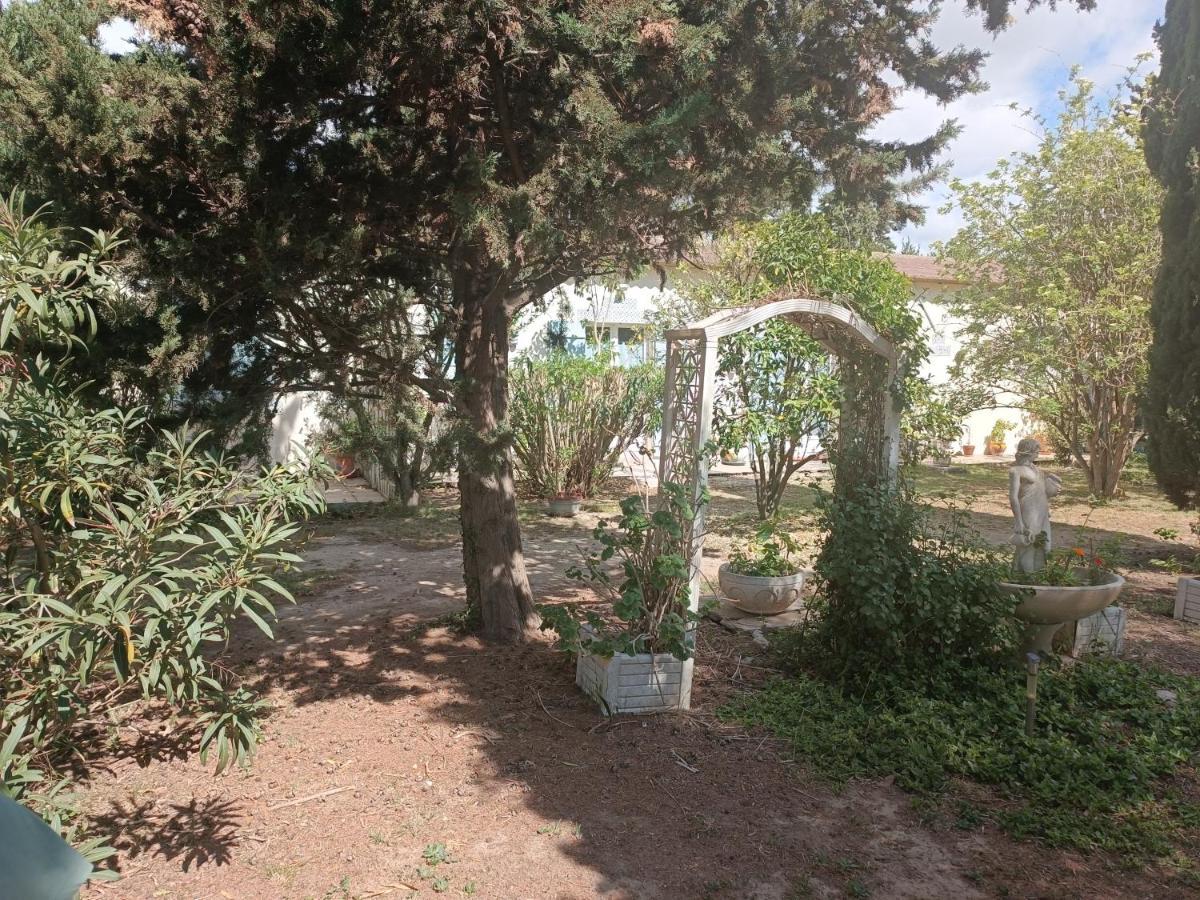 Mas Des Pins Panzió Saint-Cyprien Kültér fotó