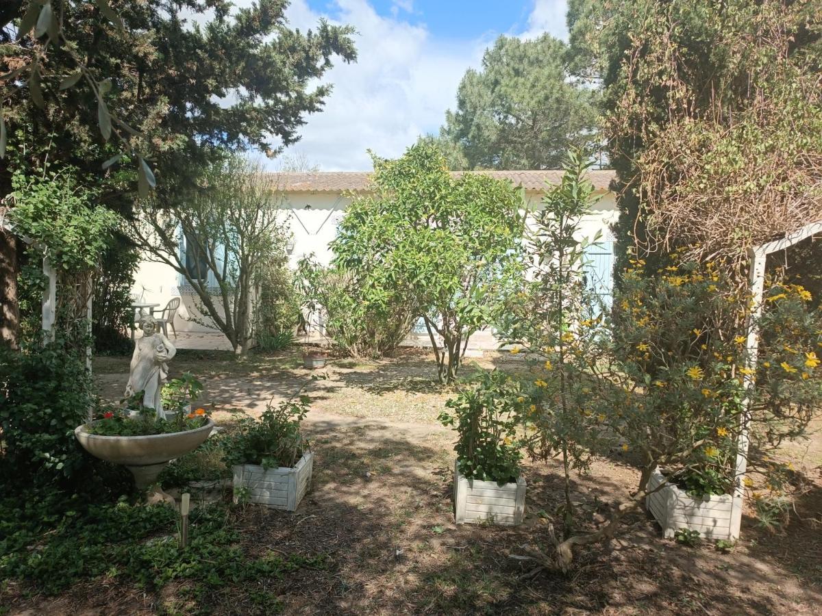 Mas Des Pins Panzió Saint-Cyprien Kültér fotó